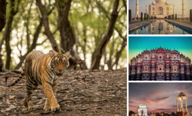Golden Triangle with Ranthambore Tour: Delhi, Agra, Jaipur & Wildlife Adventure