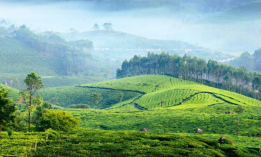 Munnar Trip Itinerary