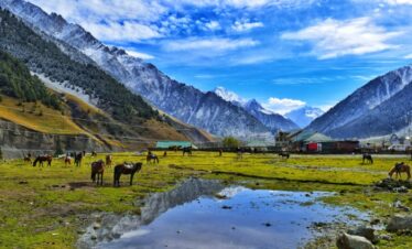 Kashmir Tour
